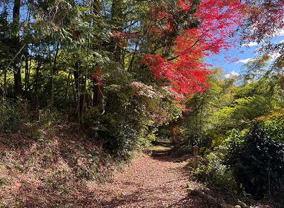 里山